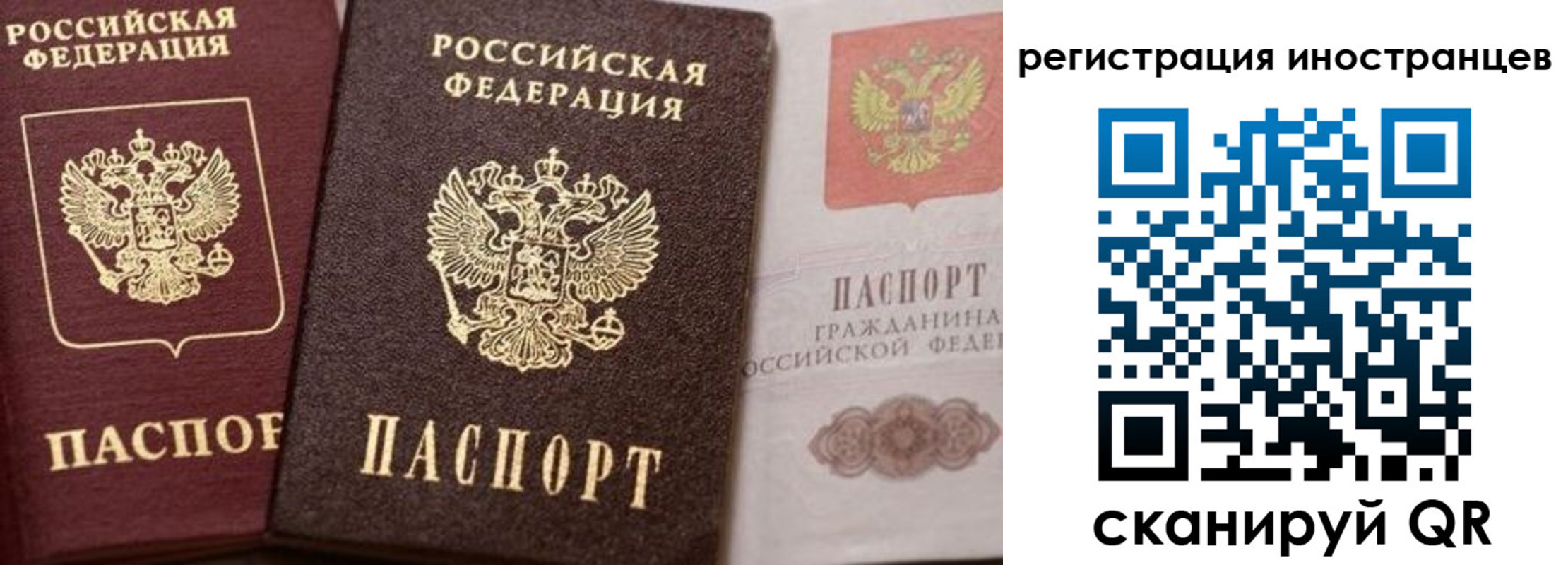 временная регистрация купить в Мурманской области